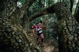 BIB: 
                            <button type="button" onclick="openModal(25391908)" class="btn btn-primary btn-sm float-right btn-popup" data-toggle="modal" data-target=".modal-high-quality">
                        <i class="fas fa-shopping-cart"></i> Add to Cart
                    </button>
                                            <button type="button" onclick="isThisMe(25391908, true)" class="btn btn-success btn-sm float-right btn-popup btn-isme hidden" data-toggle="tooltip" data-placement="bottom" title="นี่คือรูปของคุณใช่ไหม คลิกที่นี่เพื่อเอาเข้าอัลบั้ม">
                        <i class="fas fa-plus"></i> Add to album
                    </button>
                    <button type="button" onclick="isThisMe(25391908, false)" class="btn btn-warning btn-sm float-right btn-popup btn-isnotme hidden">
                        <i class="fas fa-ban"></i> Remove from album
                    </button>